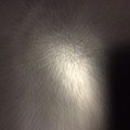 嗯嗯嗯嗯嗯嗯嗯